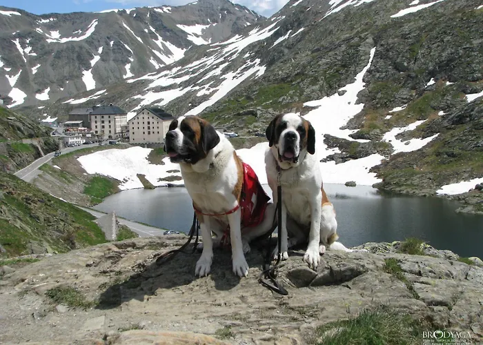 Restaurant Du Cret מלון 3*